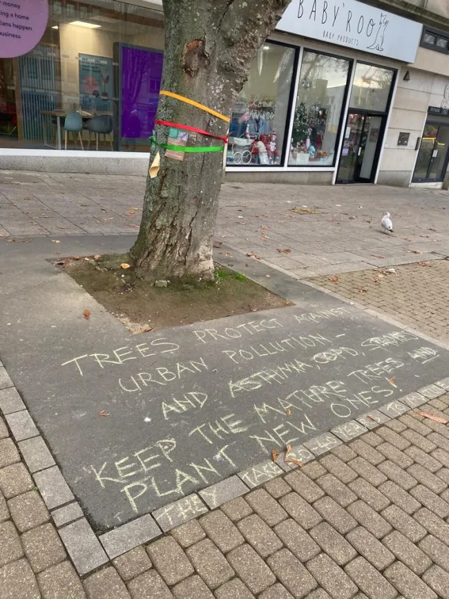 Benefits of street trees